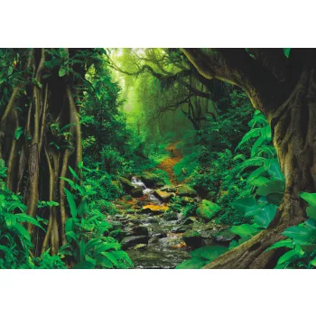 Fotótapéta Tropical Jungle, 368 x 254 cm