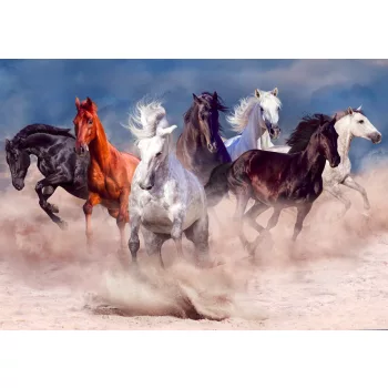   Fotótapéta Horse Herd Run in Desert Dust Storm, 368 x 254 cm