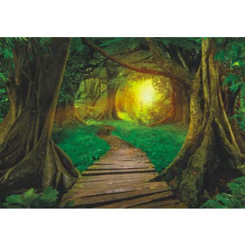   Fotótapéta Wooden Pathway in the Asian Jungle Forest, 368 x 254 cm