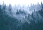 Fotótapéta Misty Mountain Landscape, 416 x 254 cm