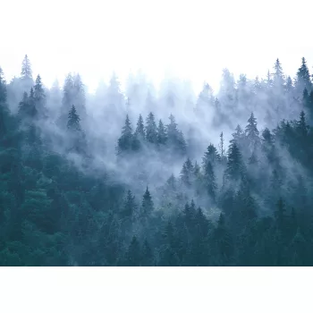 Fotótapéta Misty Mountain Landscape, 368 x 254 cm