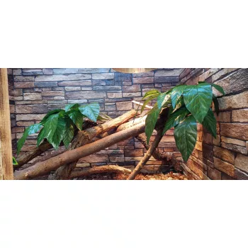 3D PVC falpanel Barna-drapp palakő mintás