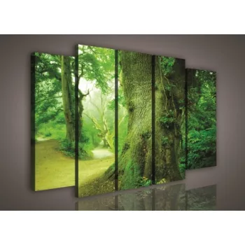 Vászonképek, faliképek