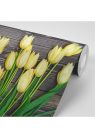 Fotótapéta sárga tulipán fa háttéren - 225x150 -