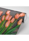 Fotótapéta narancssárga tulipánok fa háttéren - 225x150 -