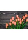 Fotótapéta narancssárga tulipánok fa háttéren - 225x150 -