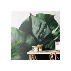 Fotótapéta monstera levél - 150x100 -