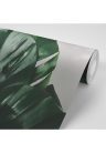 Fotótapéta monstera levél - 450x300 -