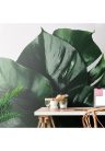 Fotótapéta monstera levél - 150x270 - cm