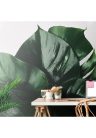 Fotótapéta monstera levél - 225x270 - cm