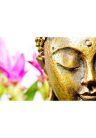 Fotótapéta arany Buddha arc - 150x100 -