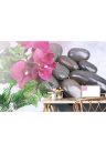 Fotótapéta virágzó orchidea és wellness kövek - 150x100 -