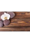 Fotótapéta wellness kövek és orchidea fa háttéren - 150x100 -