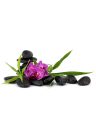 Fotótapéta lila orchidea Zen csedéletben - 150x100 -