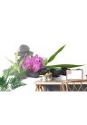 Fotótapéta lila orchidea Zen csedéletben - 375x250 -