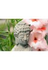 Fotótapéta Buddha szobor a Zen kertben - 450x300 -