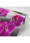 Fotótapéta csodás orchidea Zen kövekkel - 225x150 -