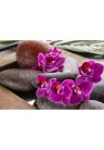 Fotótapéta csodás orchidea Zen kövekkel - 225x150 -