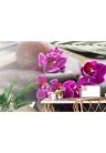 Fotótapéta csodás orchidea Zen kövekkel - 225x150 -