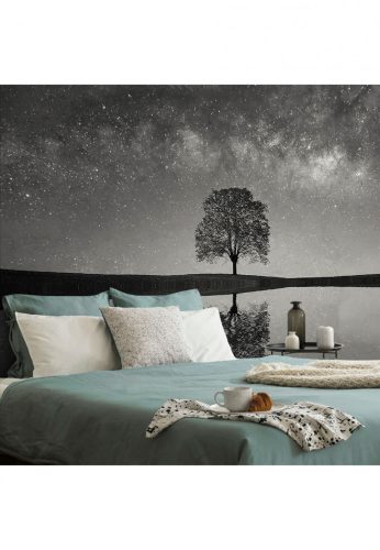 Fotótapéta fekete-fehér csillagos ég egy magányos fa felett - 300x200