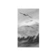 Tapéta madarak repülése fekete-fehérben - 150x270 cm