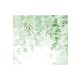 Tapéta enyhe zöld levelek - 300x270 - cm