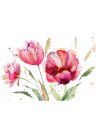 Fotótapéta csodás tulipán érdekes kivitelben - 225x150 -