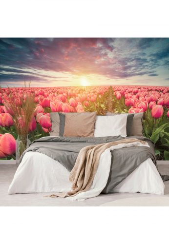 Fotótapéta napkelte tulipánok felett - 300x200 -