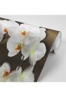 Fotótapéta orchidea és lepke - 375x250 -