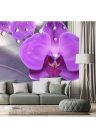 Fotótapéta orchidea görög oszlopoknál - 225x150 -