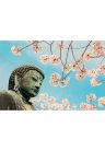 Fotótapéta Buddha szobor a cseresznyefa alatt - 375x250 -