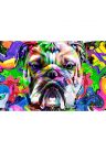 Fotótapéta pop-art bulldog - 450x300