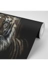 Fotótapéta tigris - 225x150 -