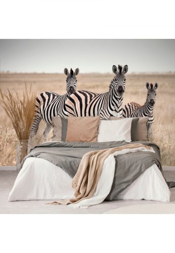 Fotótapéta három zebra a szavannán - 375x250 -