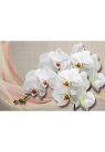 Fotótapéta fehér orchidea vásznon - 225x150 -