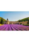 Fotótapéta Provence levendulamezőkkel - 150x100 -