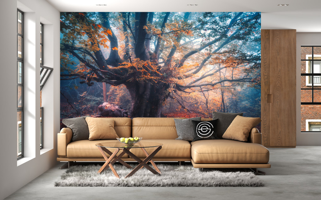 Fotótapéta Old Magical Tree, 416 x 254 cm