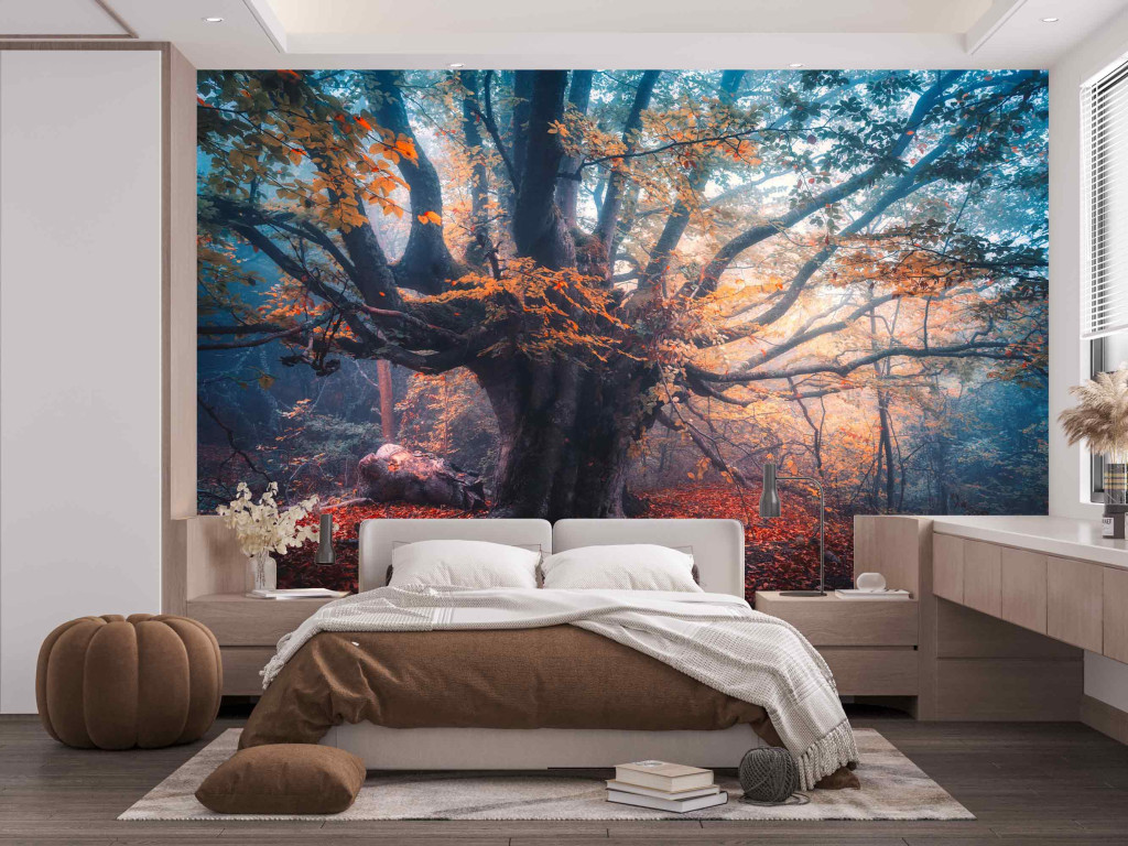 Fotótapéta Old Magical Tree, 416 x 254 cm