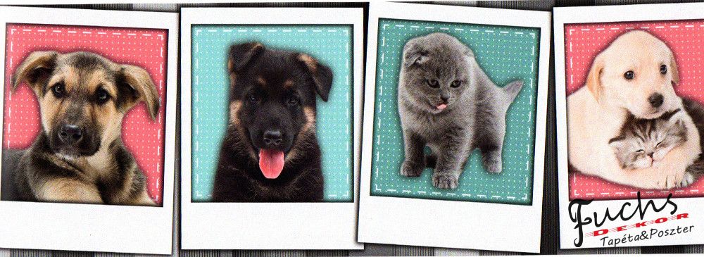Kutyák cicák képekben öntapadós bordűr