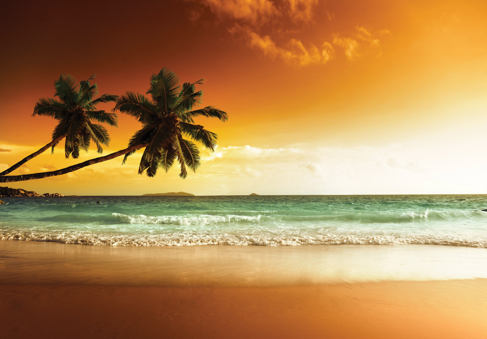 Benyúló pálmafák a tengerparti naplementében poszter, fotótapéta Vlies (152,5 x 104 cm)